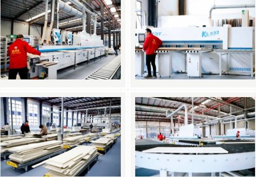 雪寶集團 大國工匠，家居典范